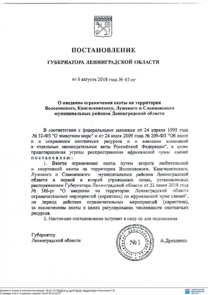 Изображения.
