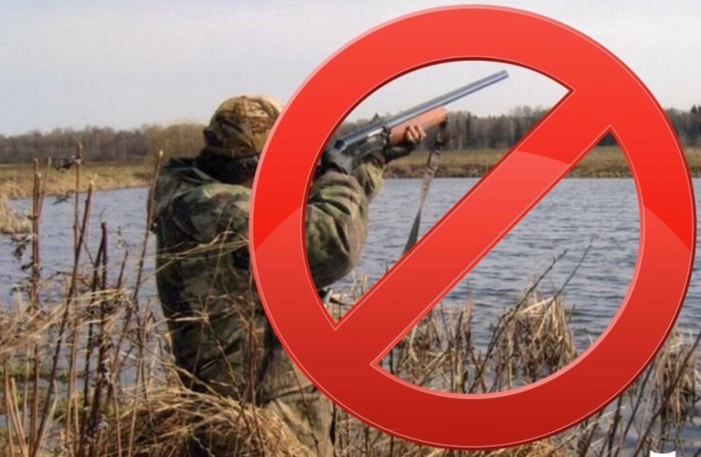 Утверждены зоны охраны охотничьих ресурсов на реке Нарве и Нарвском водохранилище, на которых запрещена охота.