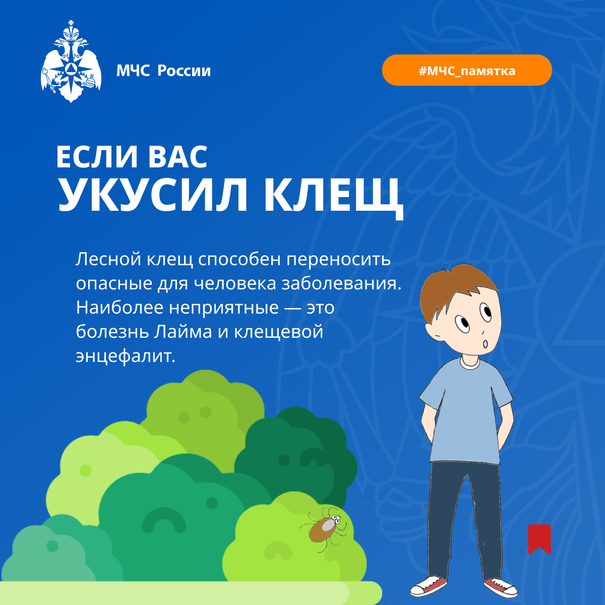 Роспотребнадзор проводит &quot;горячую линию&quot; по вопросам профилактики клещевого энцефалита.