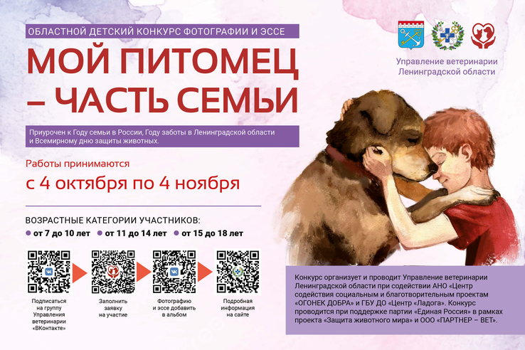 Изображения.